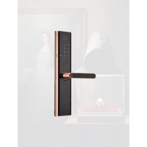 Smart Lock Systems AP- X10